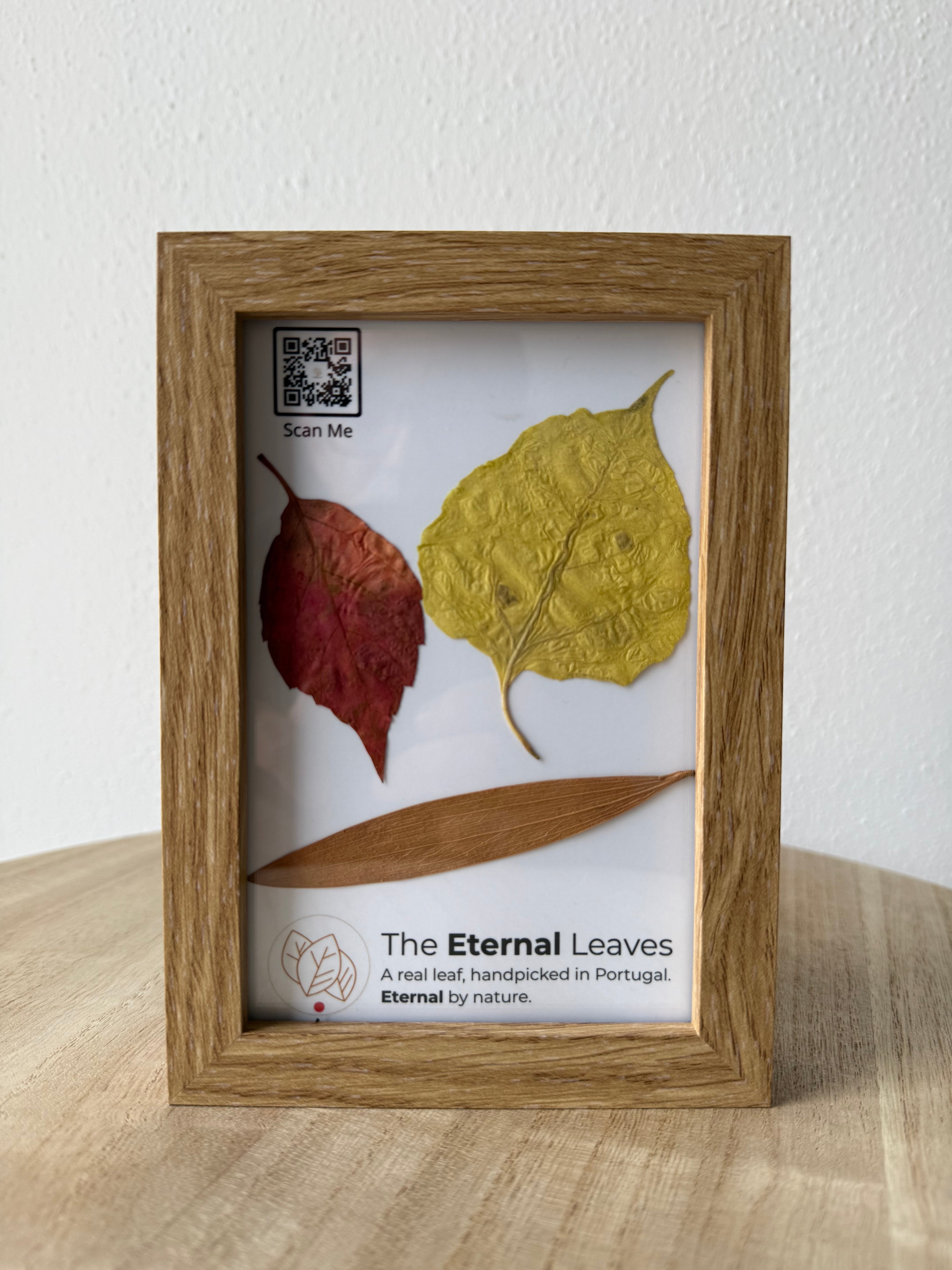 The Eternal Leaves – Portugal Collection