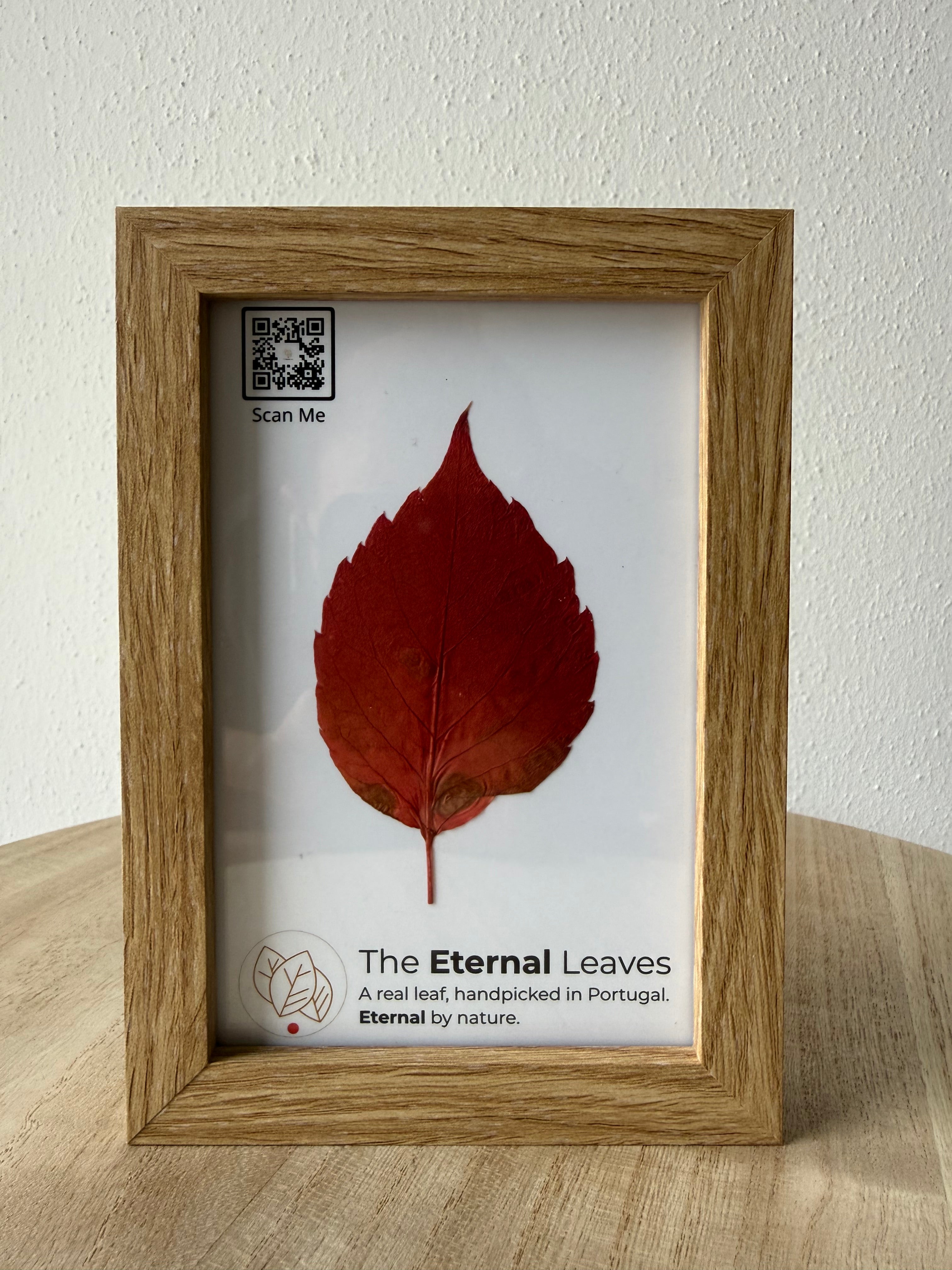 The Eternal Leaves – Portugal Collection