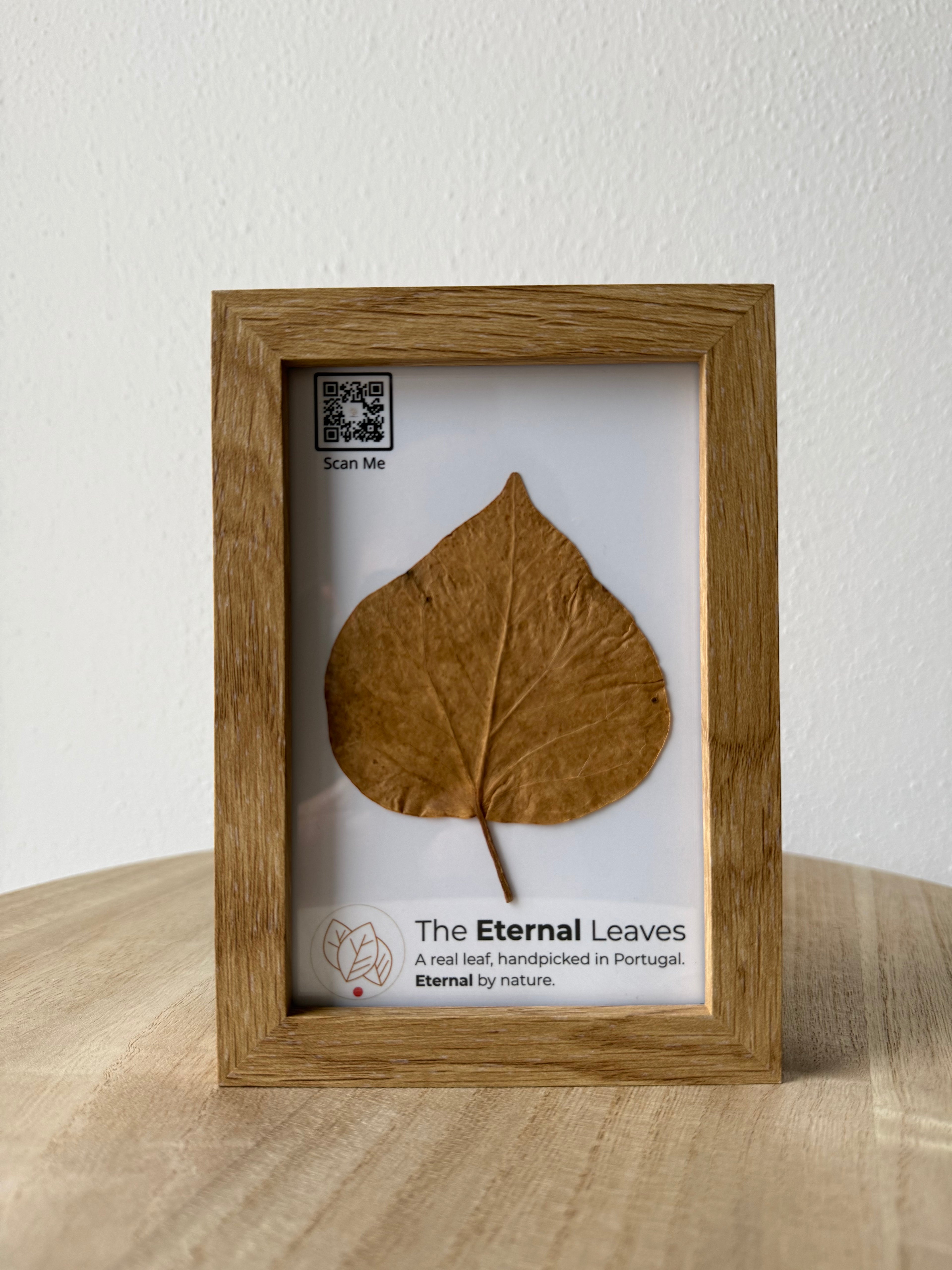 The Eternal Leaves – Portugal Collection