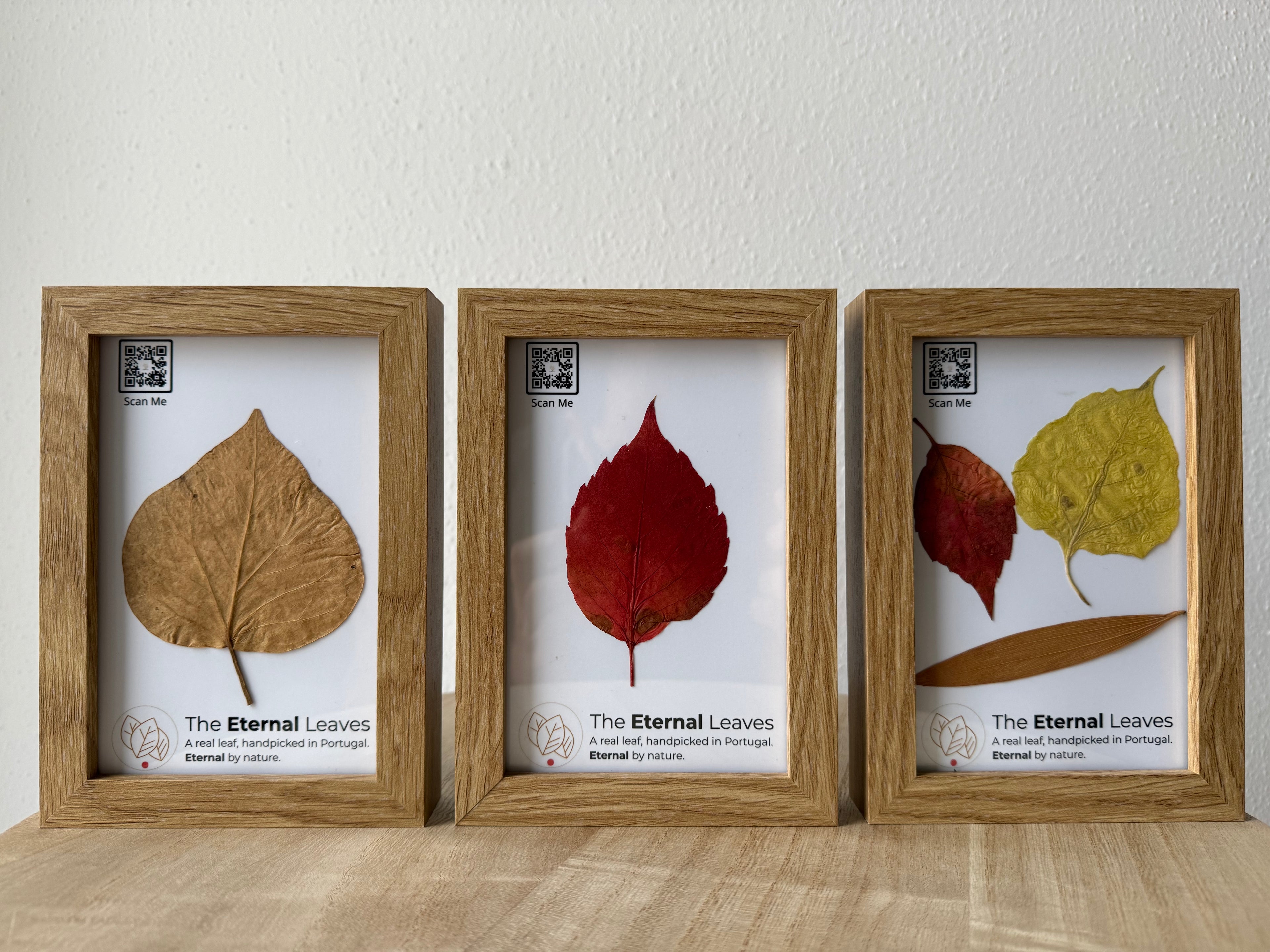 The Eternal Leaves – Portugal Collection
