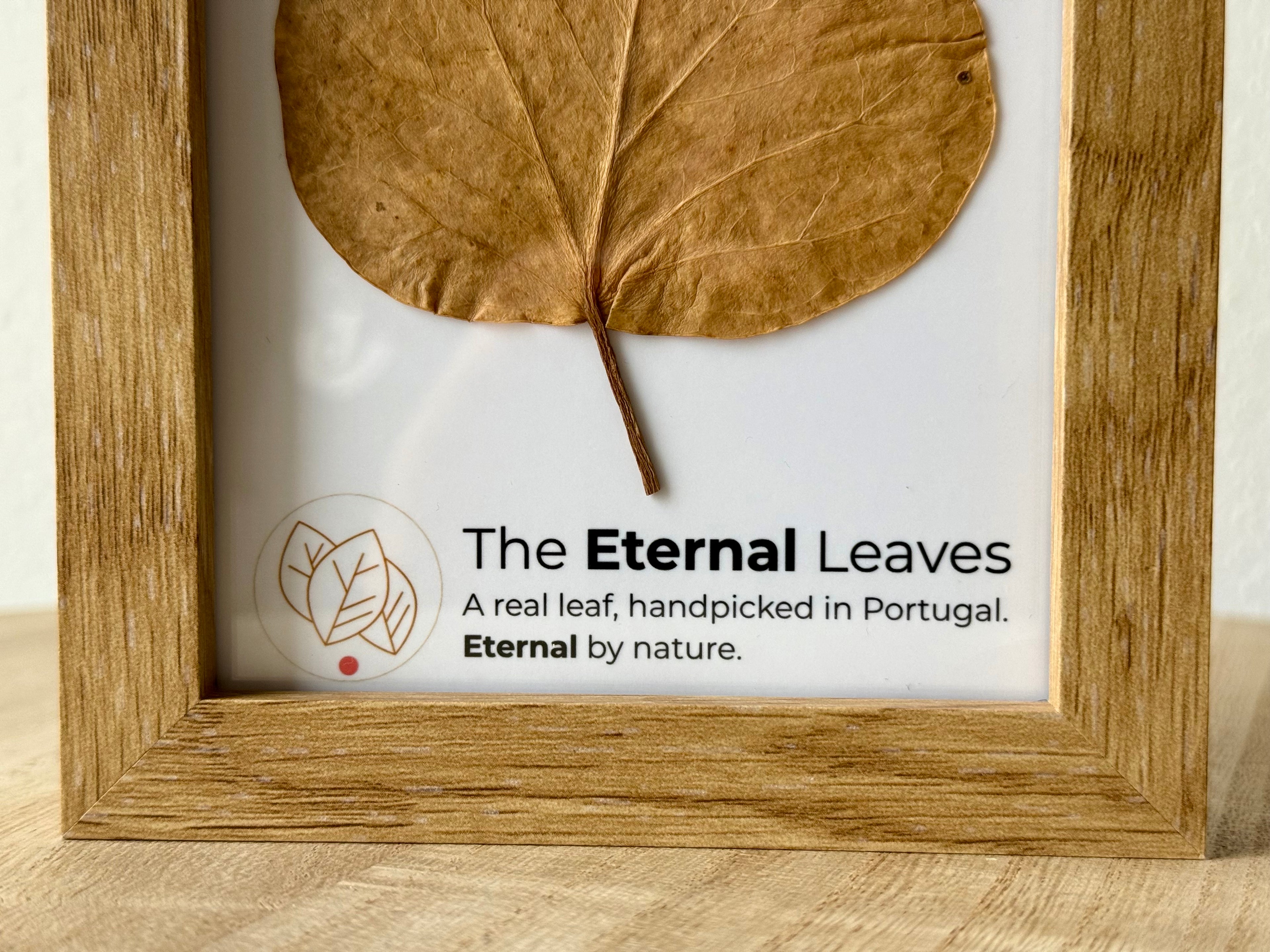 The Eternal Leaves – Portugal Collection