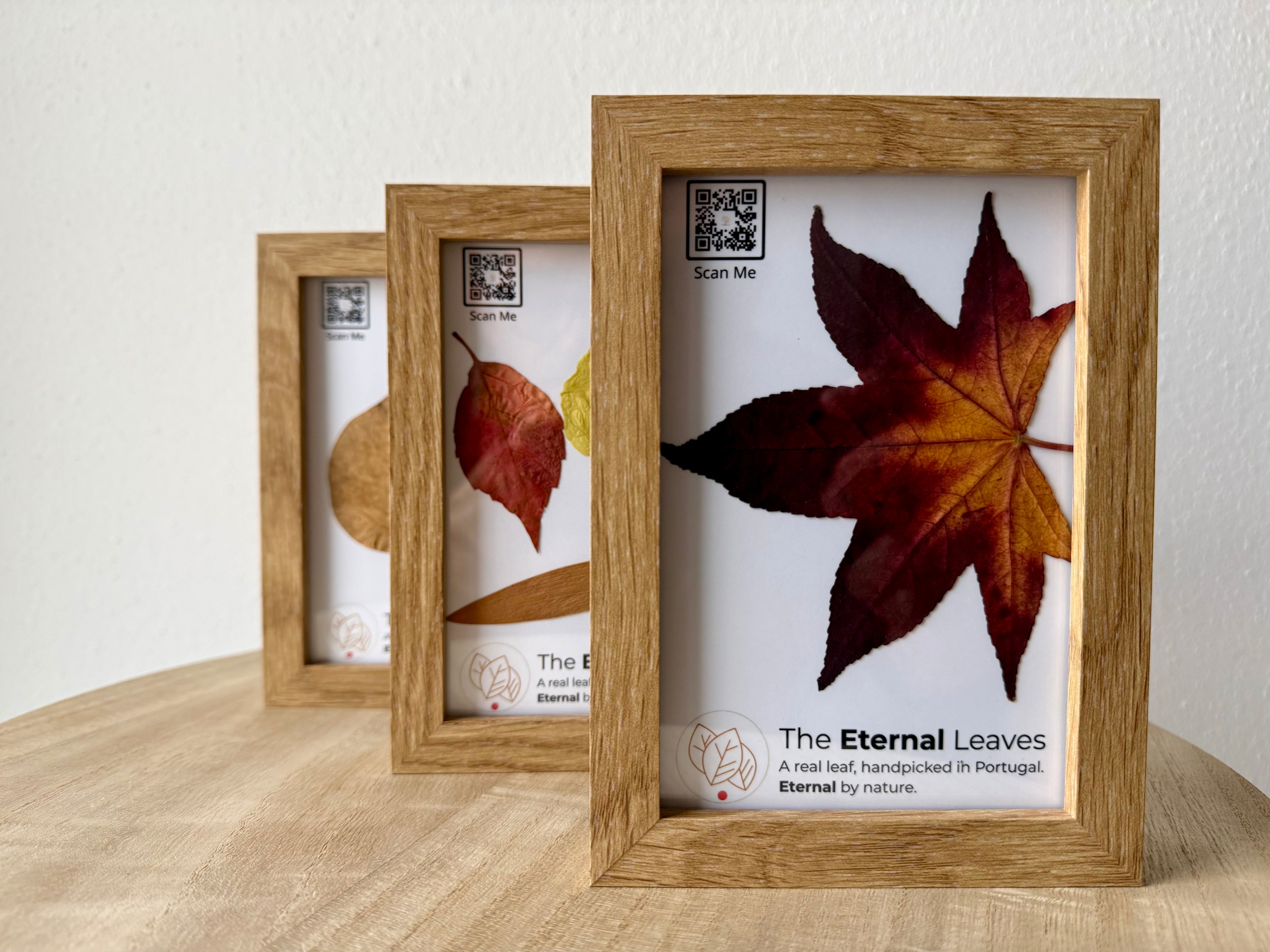 The Eternal Leaves – Portugal Collection