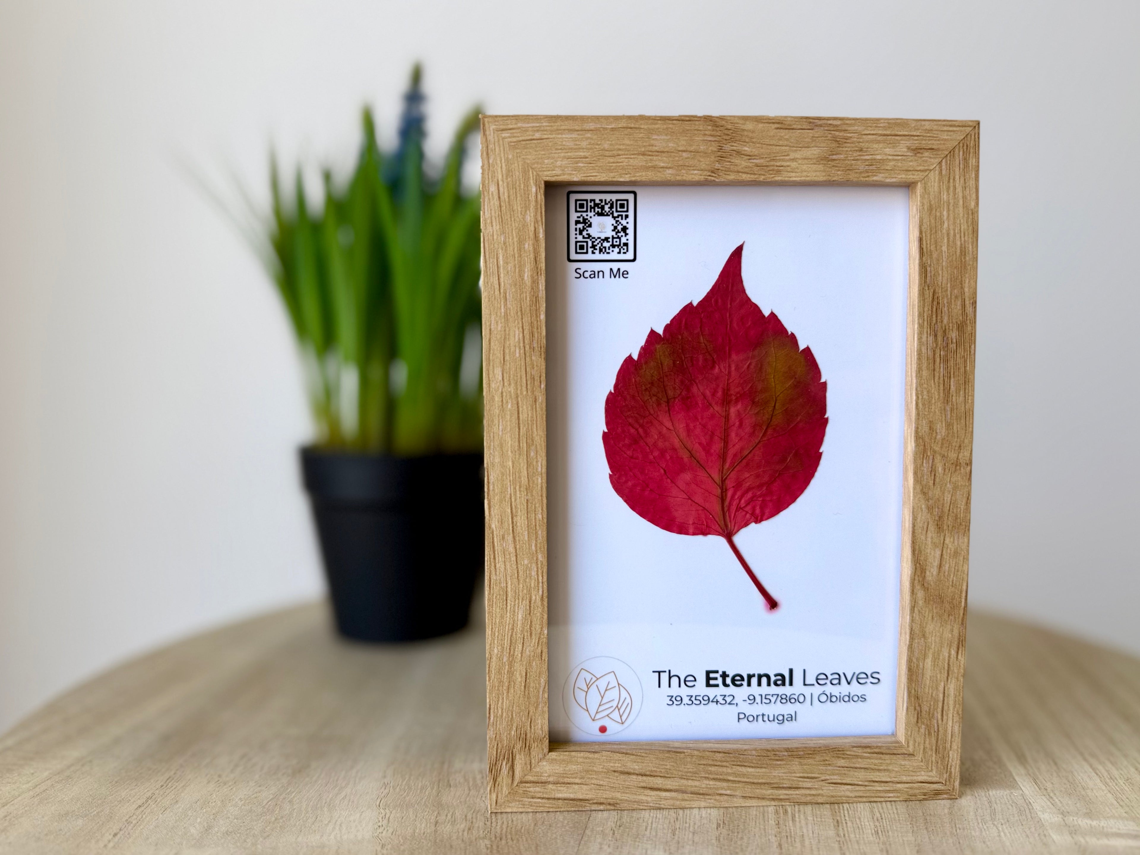 Folha real de Outono emoldurada da coleção The Eternal Leaves — arte ecológica de Portugal.