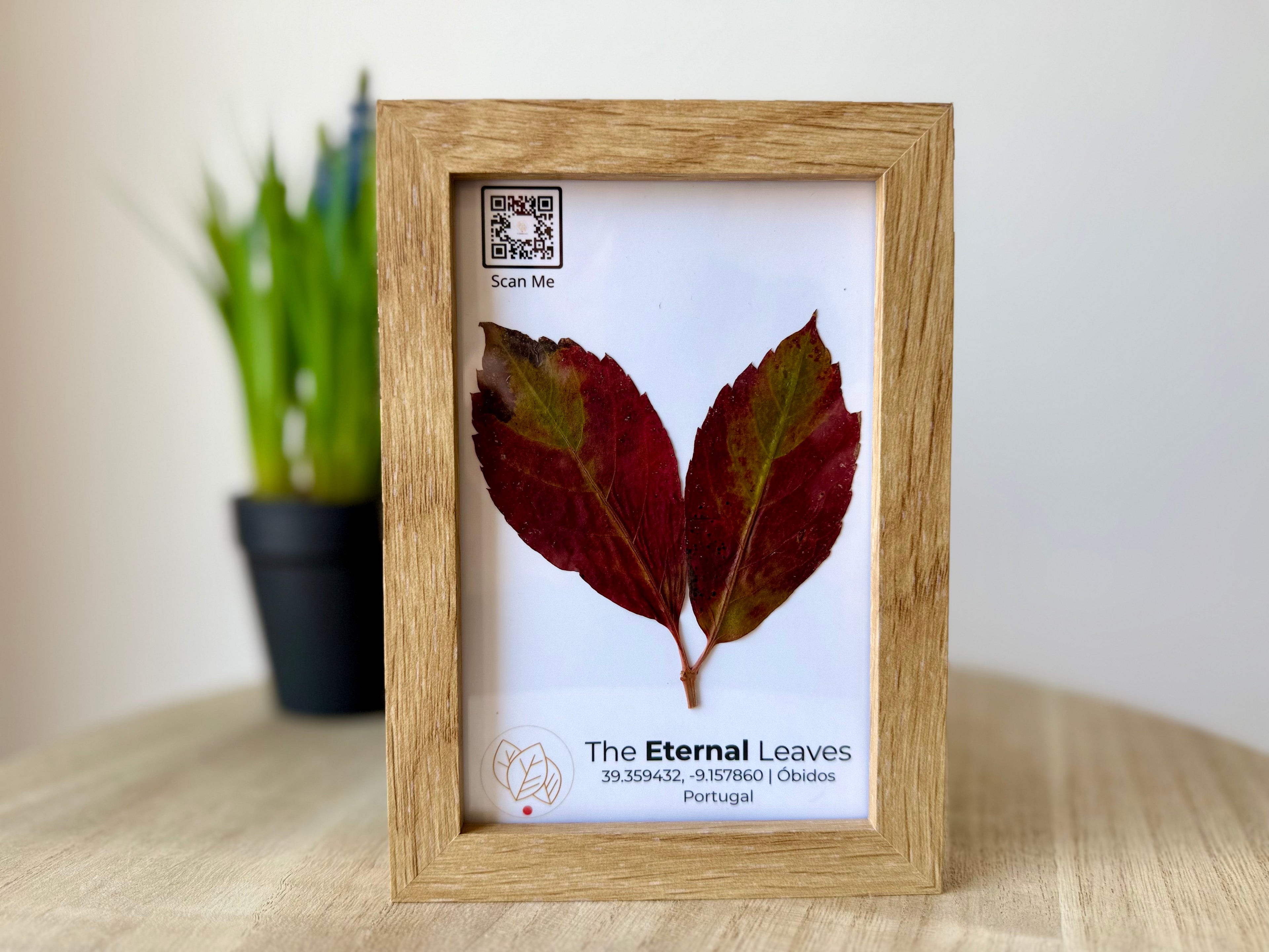 Folhas reais de Outono emolduradas da coleção The Eternal Leaves — arte ecológica de Portugal.