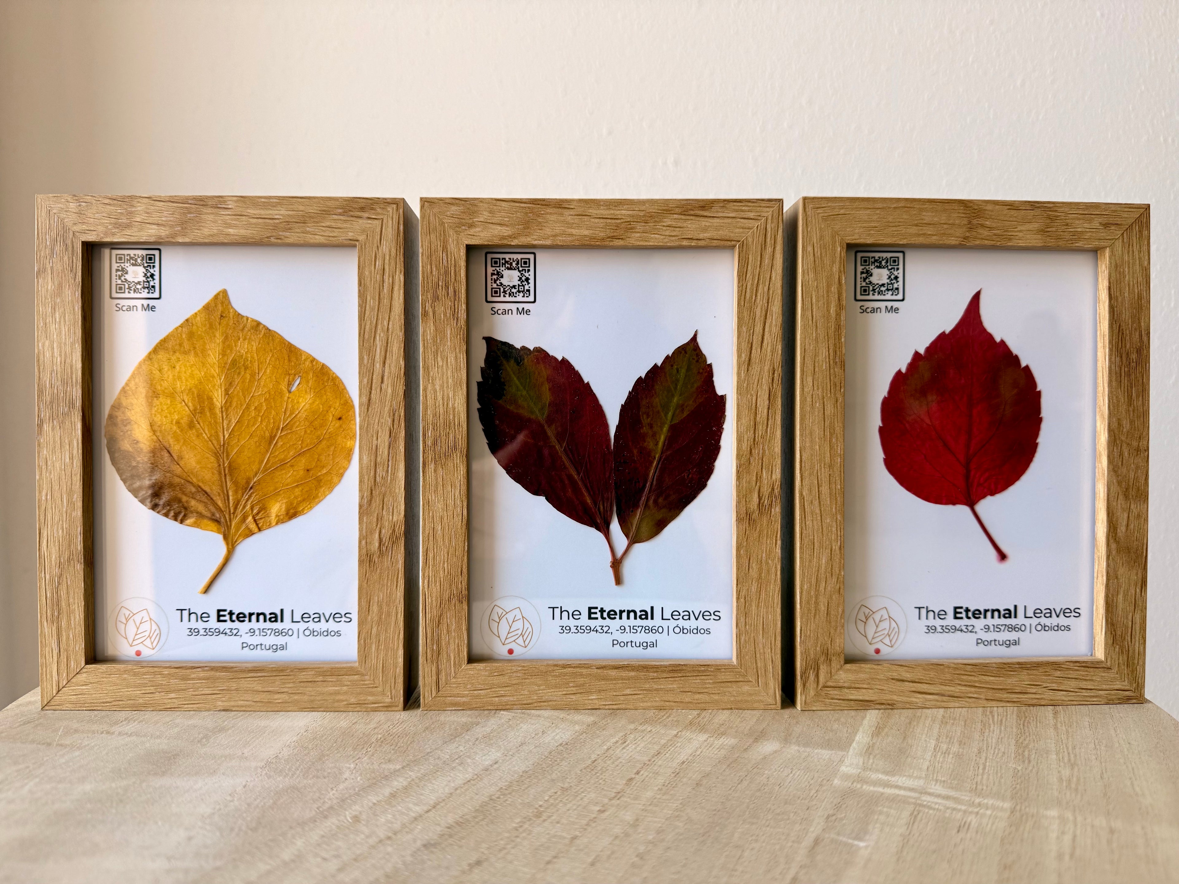 Três molduras de madeira com folhas prensadas da coleção The Eternal Leaves, criadas em Óbidos.