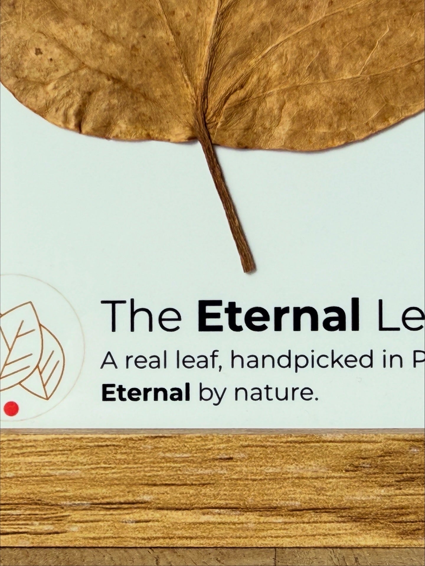 The Eternal Leaves – Portugal Collection