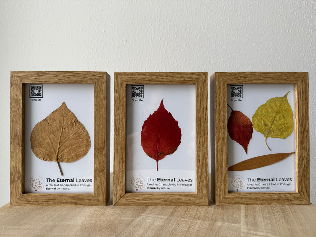 The Eternal Leaves – Portugal Collection