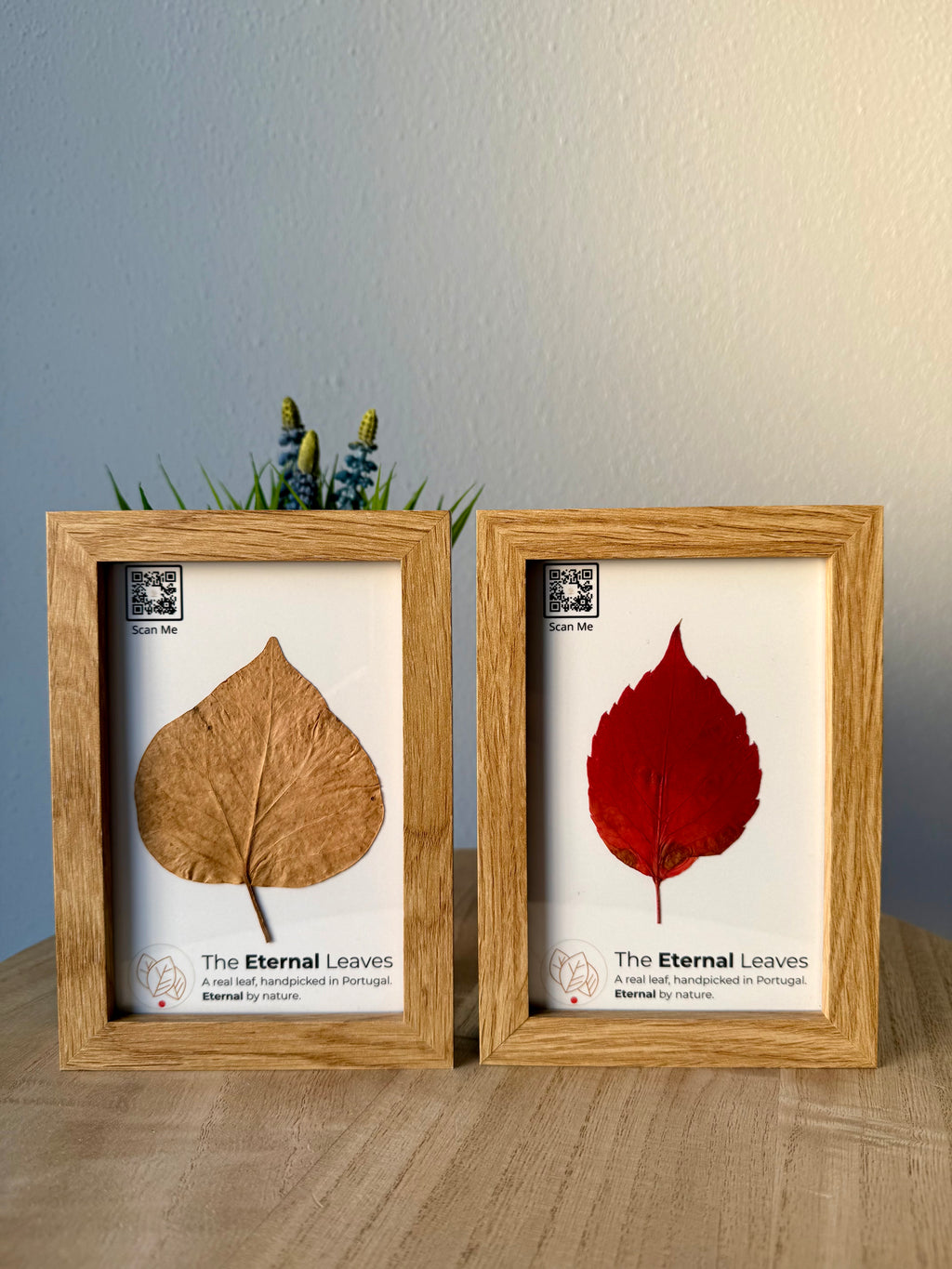 The Eternal Leaves – Portugal Collection