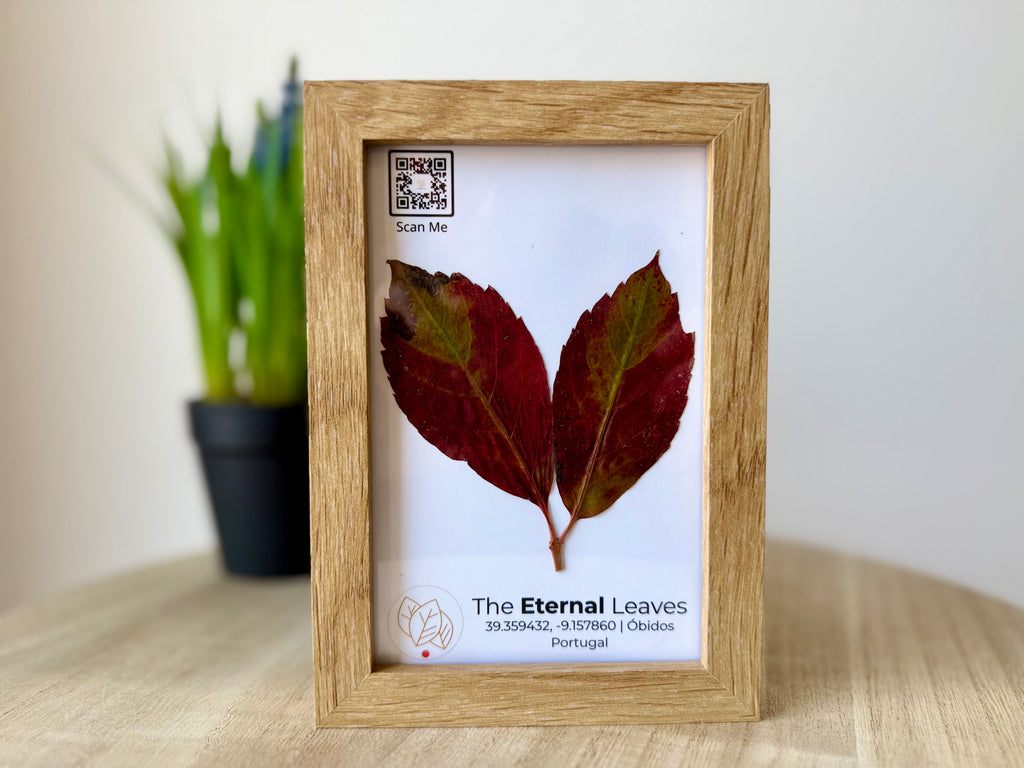 Folhas reais de Outono emolduradas da coleção The Eternal Leaves — arte ecológica de Portugal.